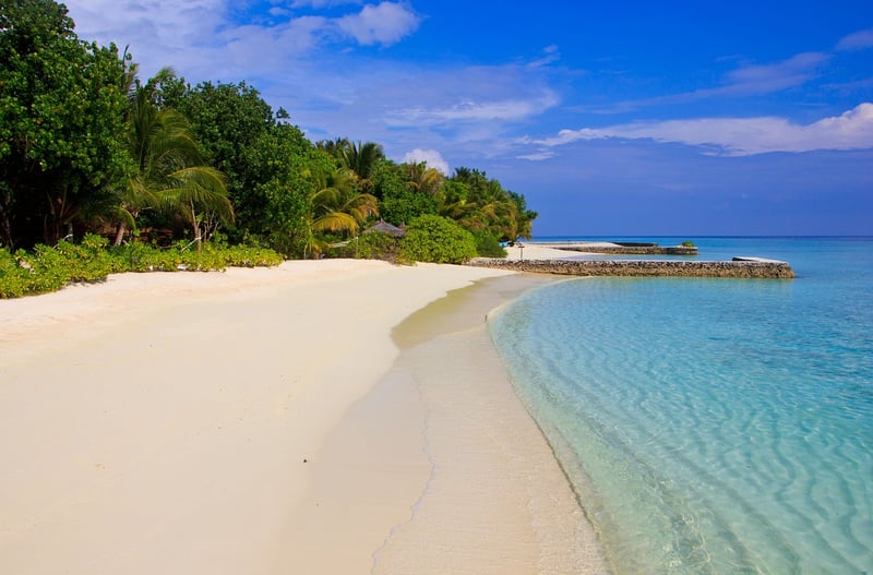 Exotic Seashores
